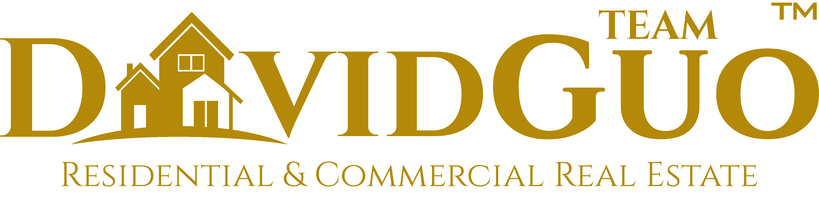 DAVIDGUO TEAM